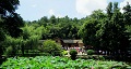 長(zhǎng)沙出發(fā)到花明樓、韶山、張家界國(guó)家森林公園、天門(mén)仙山國(guó)家森林公園四日游